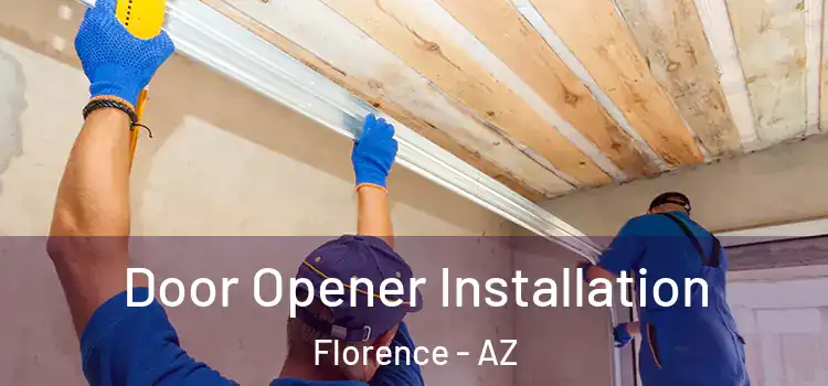  Door Opener Installation Florence - AZ