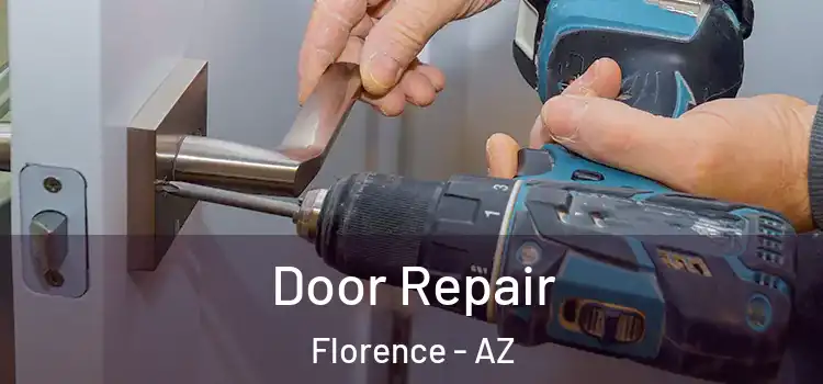  Door Repair Florence - AZ
