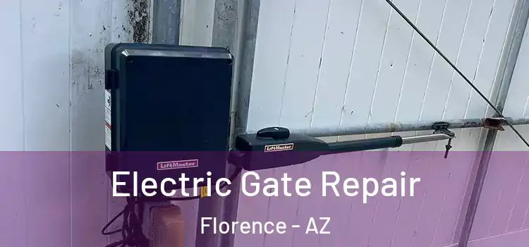  Electric Gate Repair Florence - AZ