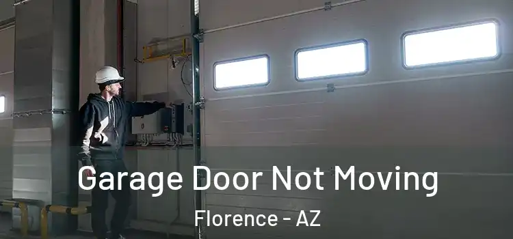  Garage Door Not Moving Florence - AZ