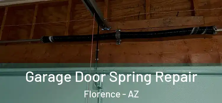  Garage Door Spring Repair Florence - AZ