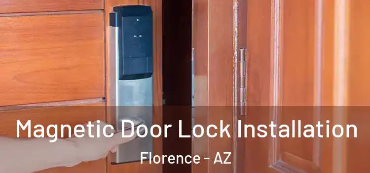  Magnetic Door Lock Installation Florence - AZ