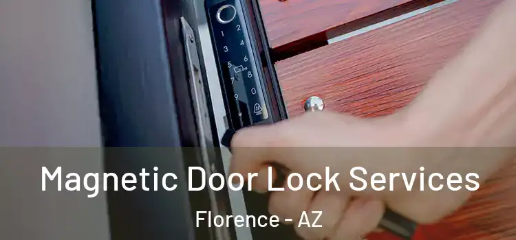  Magnetic Door Lock Services Florence - AZ