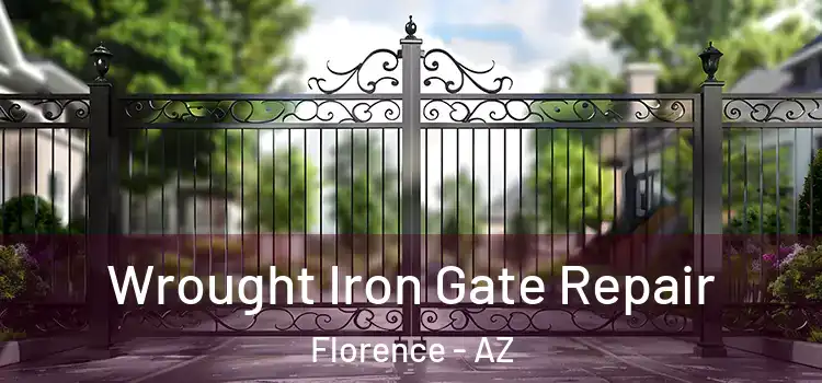 Wrought Iron Gate Repair Florence - AZ